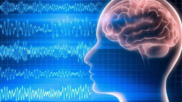 Illustration vor dunklem Hintergrund: Hirnwellen in blau leuchtend strömen von links kommend auf einen seitlich mit sichtbarem Gehirn dargestellten Kopf ein.