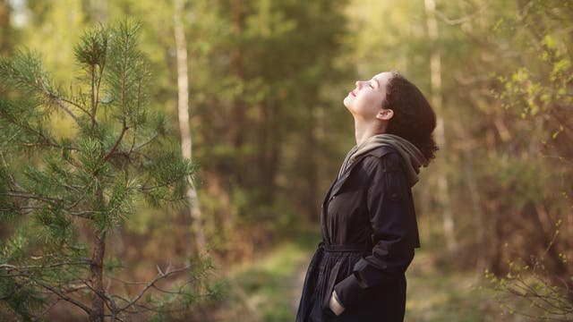 Eine Frau steht auf einer Waldlichtung, das Gesicht Richtung Himmel geneigt
