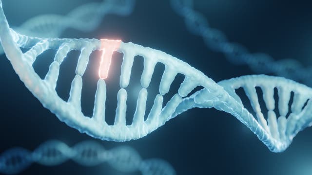 DNA mit Genmutation, die hier rötlich leuchtend markiert ist.