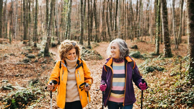 Zwei Personen wandern lächelnd durch einen herbstlichen Wald. Sie tragen bunte Jacken und halten Wanderstöcke. Der Boden ist mit Laub bedeckt, und die Bäume sind hoch und kahl. Die Szene vermittelt eine fröhliche und entspannte Atmosphäre.