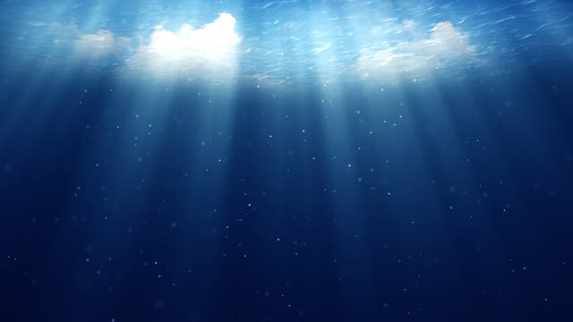 Lichtstrahlen durchbrechen die Wasseroberfläche und beleuchten sie. innen schwimmen kleine Partikel