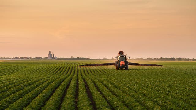 Ein Traktor versprüht großflächig Pestizide auf einem Sojafeld