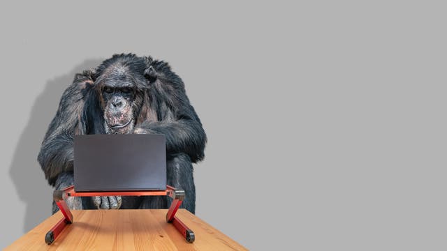 Ein Affe tippt auf einem Computer