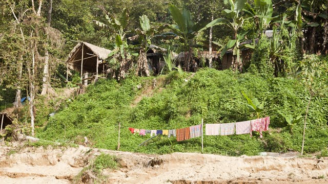 Blick auf eine Siedlung der Orang Asil, einer Volksgruppe in Malaysia, zu der auch die nicht sesshaften Batek gehören.