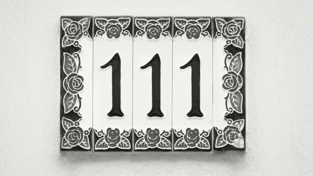 Die Zahl 111
