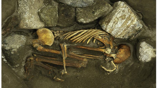 Weibliches Skelett aus dem bronzezeitlichen Cladh Hallan.