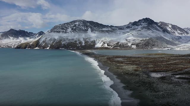 Eine Küstenlandschaft mit schneebedeckten Bergen im Hintergrund. Im Vordergrund erstreckt sich ein Strand entlang des türkisfarbenen Meeres. Die Küstenlinie verläuft diagonal durch das Bild, während Wolken den Himmel bedecken. Die Szene vermittelt eine ruhige, natürliche Atmosphäre.