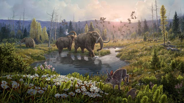 Die Illustration zeigt eine Landschaft, wie sie vor zwei Millionen Jahren an der Kap København Formation im Norden Grönlands ausgesehen haben könnte: ein Wald bevölkert von Mastodonten, Hasen und Rentieren, bei Temperaturen deutlich wärmer als heute.