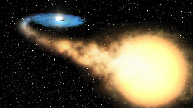 Obwohl Schwarze Löcher (links, umgeben von einer Scheibe aus heißem Gas; Illustration) oft Materie von Sternen verzehren, kann ihre Schwerkraft auch Sterne nach außen schleudern. 