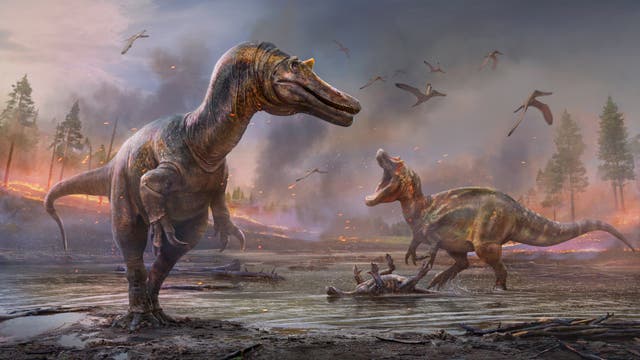 Rekonstruktionen der beiden Dinosaurier in ihrer einstigen Lebenswelt