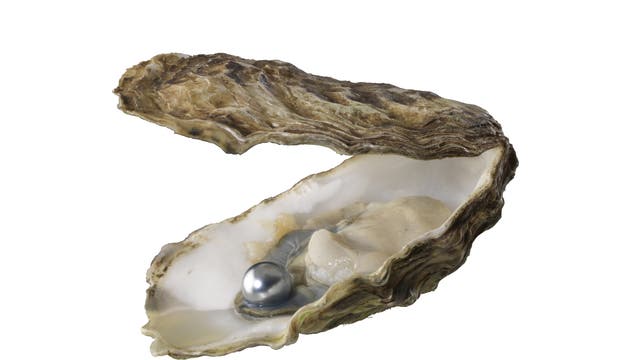 Eine Perle in einer Auster
