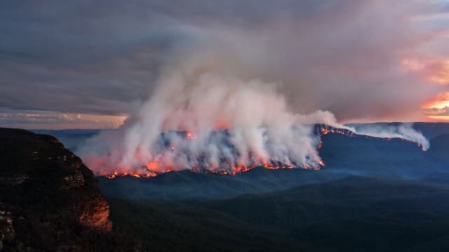 Waldbrand in Australien
