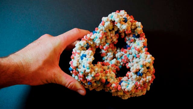 3D-Druckmodell des Moleküls Porin