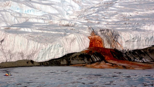 Aus dem Taylor-Gletscher sprudelt rostrotes Wasser