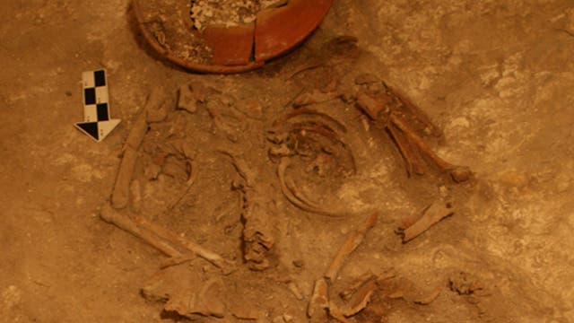 Ältestes Grab eines Mayafürsten entdeckt