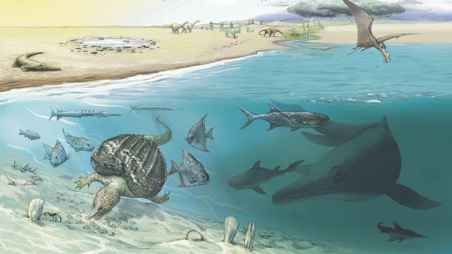 Meereswelt vor 250 Millionen Jahren mit walgroßem Fischsaurier