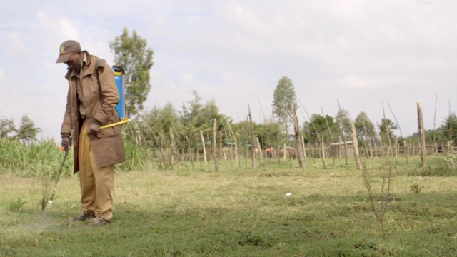 Dokumentation über Pestizide bei afrikanischen Kleinbauern