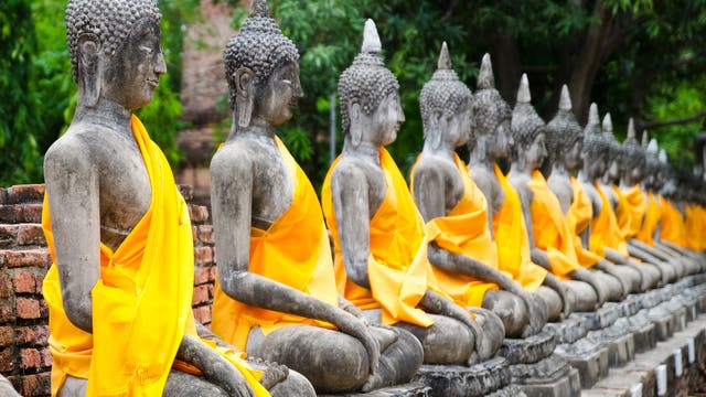 eine Reihe von Buddhastatuen