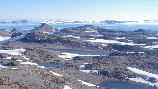 Weite, felsige Landschaft in der Antarktis mit vereinzelten Schneefeldern und kleinen Wasserflächen. Im Hintergrund erstreckt sich das blaue Meer bis zum Horizont, wo es auf den klaren, blauen Himmel trifft. Die Szene vermittelt eine ruhige, unberührte Natur.