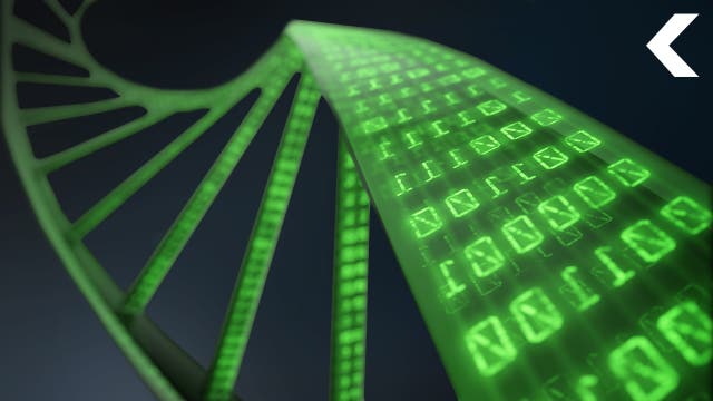 DNA als Massenspeicher der Zukunft
