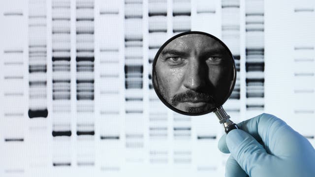 DNA-Forensik