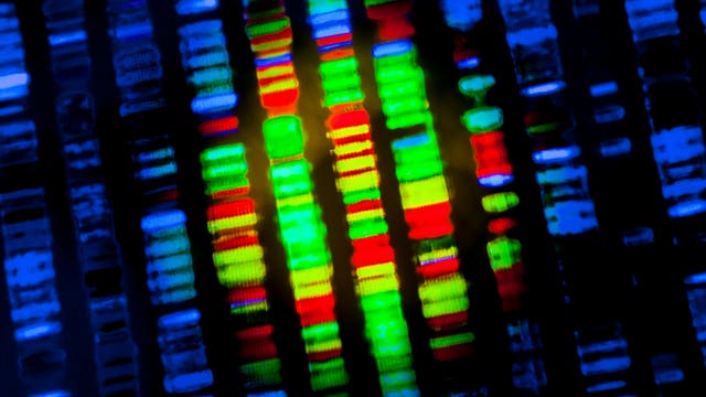 DNA Sequenzierung