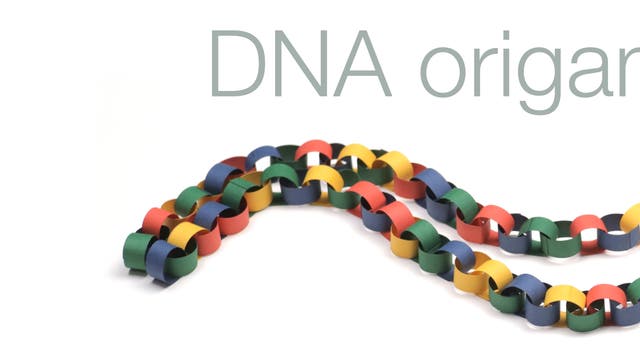 Ten years of DNA origami