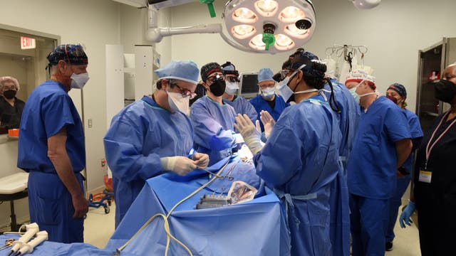 In Maryland transplantierten Ärzte einem Mann erstmals das Herz eines Schweins.