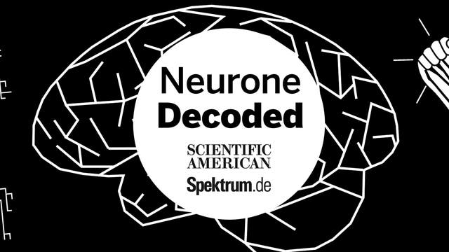 Decoded: Neurone