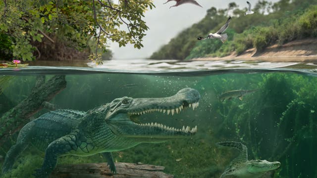 Eine prähistorische Szene zeigt einen großen, urzeitlichen Krokodil-ähnlichen Dinosaurier unter Wasser, umgeben von Fischen und Pflanzen. Über der Wasseroberfläche fliegen ein Pterosaurier und mehrere Vögel. Am Ufer sind dichte Bäume und Vegetation zu sehen. Die Atmosphäre ist ruhig und zeigt eine lebendige, urzeitliche Landschaft.