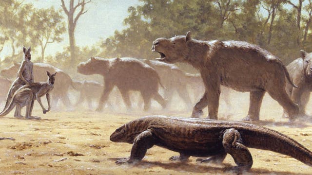 Diprotodons waren nashorngroße Verwandte der Wombats