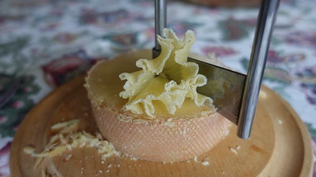 Ein runder Laib Tête-de-Moine-Käse wird auf einem Holzbrett mit einer Girolle geschnitten. Die Girolle erzeugt feine, blumenartige Käserosetten. Im Hintergrund ist ein gemustertes Tischtuch zu sehen.