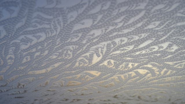 Eine Nahaufnahme von Eisblumen auf einer Fensterscheibe. Die frostigen Muster bilden komplexe, filigrane Strukturen, die an Pflanzen oder Federn erinnern. Das Licht scheint durch das Glas und erzeugt einen sanften, bläulichen Schimmer.