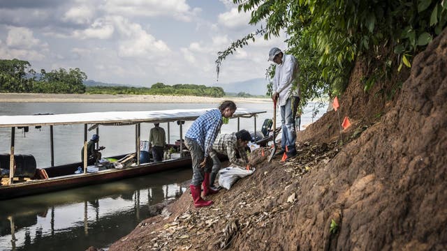 Forscherteam gräbt am Ufer des Río Madre de Dios nach Fossilien