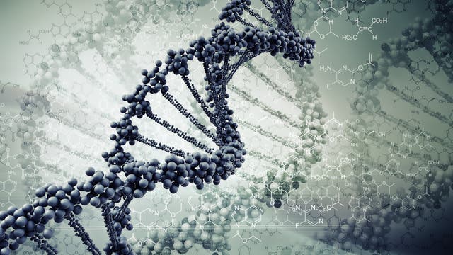 DNA-Strang auf Molekülebene