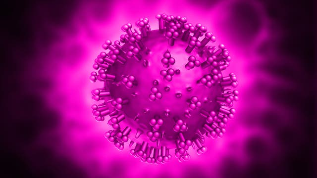 Modell eines Virus (Symbolbild)