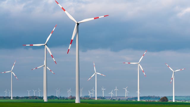 Ein Windpark mit Windrädern