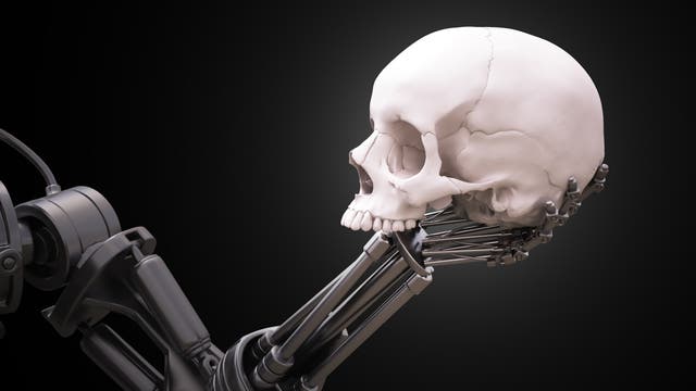 Ein Roboterarm hält einen Schädel