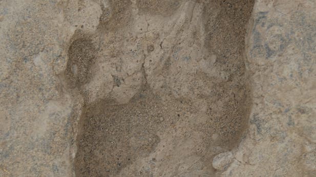 Fußspur des Homo erectus
