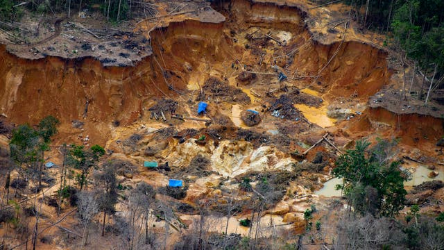 Bei einem Überflug über Yanomami-Land entdeckte Greenpeace zahlreiche illegale Goldminen