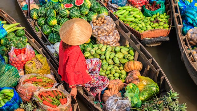 Eine Frau mit einem traditionellen Strohhut sitzt auf einem Boot auf einem schwimmenden Markt. Um sie herum sind Boote mit einer Vielzahl von frischen Früchten und Gemüse beladen, darunter Wassermelonen, Ananas, Karotten, Tomaten, Kartoffeln und Kürbisse. Die Szene zeigt die lebendige und farbenfrohe Atmosphäre eines asiatischen Marktes auf dem Wasser.