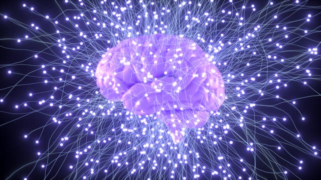 Eine lilafarbene Darstellung eines Gehirns, umgeben von einem Netzwerk aus leuchtenden, weißen Linien, die neuronale Verbindungen symbolisieren. Der Hintergrund ist dunkel, wodurch die leuchtenden Linien hervorgehoben werden. Dieses Bild vermittelt den Eindruck von Gehirnaktivität und neuronaler Vernetzung.