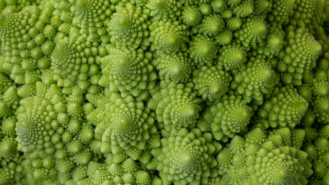 Nahaufnahme der Oberfläche eines Romanesco