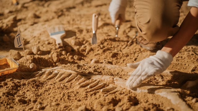 Symbolbild Archäologische Ausgrabungen