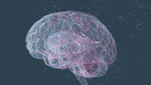 Eine digitale Darstellung eines menschlichen Gehirns, bestehend aus einem komplexen Netzwerk aus rosa und blauen Linien und Punkten, die neuronale Verbindungen symbolisieren. Der Hintergrund ist dunkelblau, was den Kontrast zu den leuchtenden Linien verstärkt. Die Struktur vermittelt ein Gefühl von Technologie und Vernetzung, das auf moderne wissenschaftliche und medizinische Konzepte hinweist.