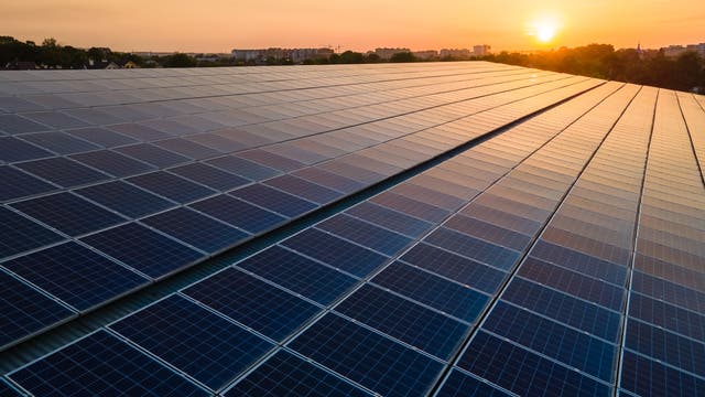 Eine große Fläche von Solarpaneelen erstreckt sich bis zum Horizont, während die Sonne am Himmel untergeht. Die Paneele reflektieren das warme Licht des Sonnenuntergangs. Im Hintergrund sind Bäume und Gebäude zu sehen. 