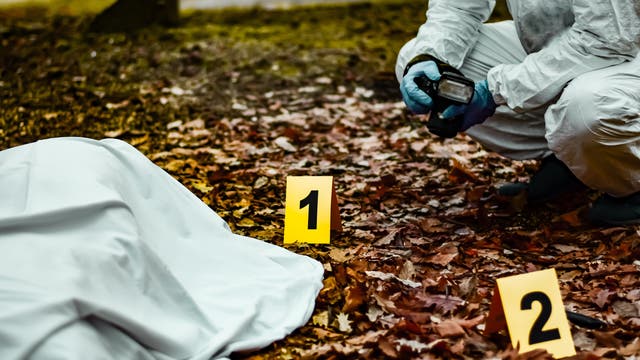 Eine Person in Schutzkleidung kniet auf einem mit Herbstblättern bedeckten Boden und hält eine Kamera. Vor ihr liegen zwei gelbe Beweismarkierungen mit den Nummern 1 und 2. Links im Bild ist ein mit einem weißen Tuch bedeckter Körper zu sehen. Die Szene deutet auf eine forensische Untersuchung hin.