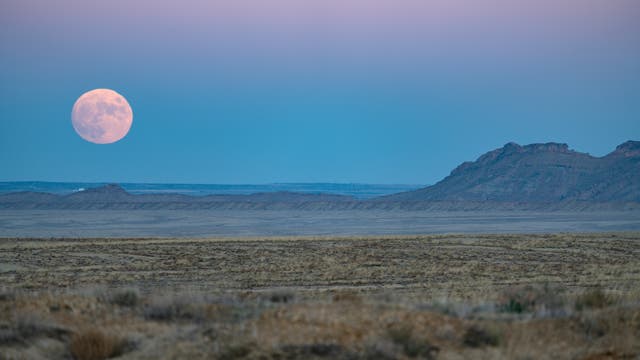 Eine weite, trockene Landschaft in New Mexico, USA bei Dämmerung mit einem großen, hellen Vollmond am Horizont. Der Himmel ist in sanften Blau- und Rosatönen gefärbt. 