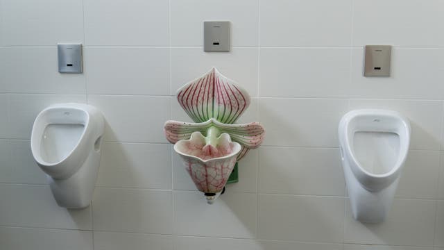 Drei Urinale an einer gefliesten Wand. Das mittlere Urinal ist künstlerisch gestaltet und sieht aus wie eine Orchidee mit grünen und rosa Blütenblättern. Die beiden äußeren Urinale sind standardmäßig weiß. Oberhalb jedes Urinals befindet sich ein rechteckiger Sensor.