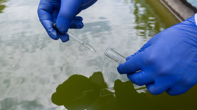 Zwei Hände mit Laborhandschuhen beim Nehmen einer Wasserprobe.